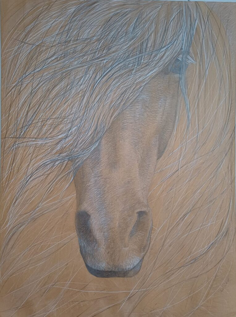 Light breeze, Raili Ilmsalu